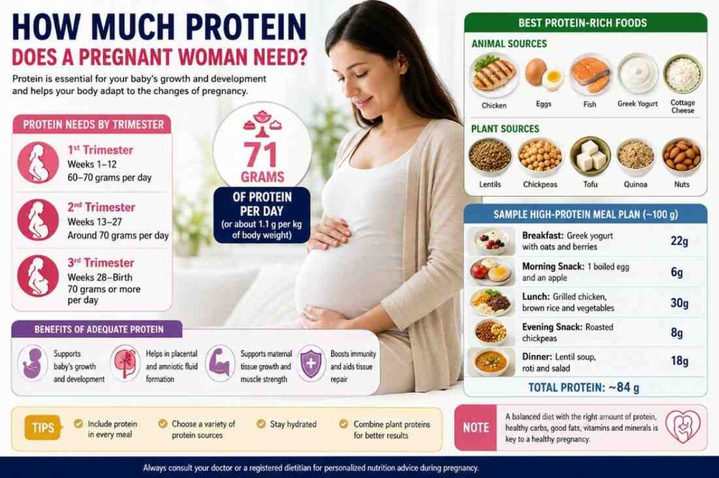 Protein Does a Pregnant Woman Need