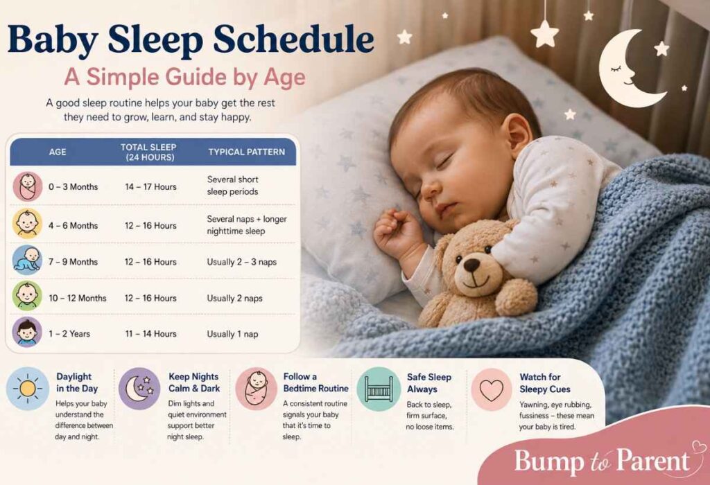 Baby Sleep Schedule