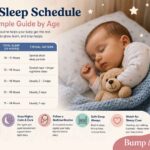 Baby Sleep Schedule