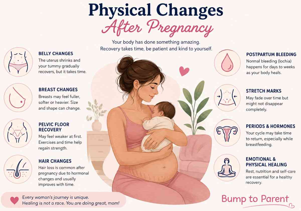 Physical Changes After Pregnancy