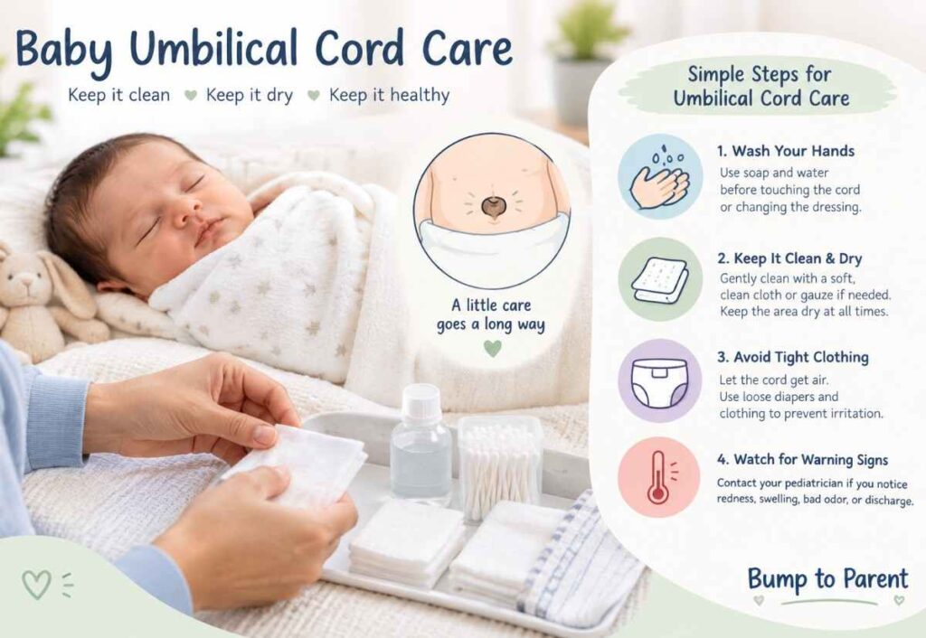 Umbilical Cord