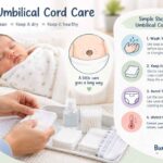 Umbilical Cord
